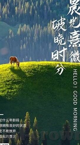 中班森林舞会教案ppt-中班森林舞会，创意教学与互动体验的结合